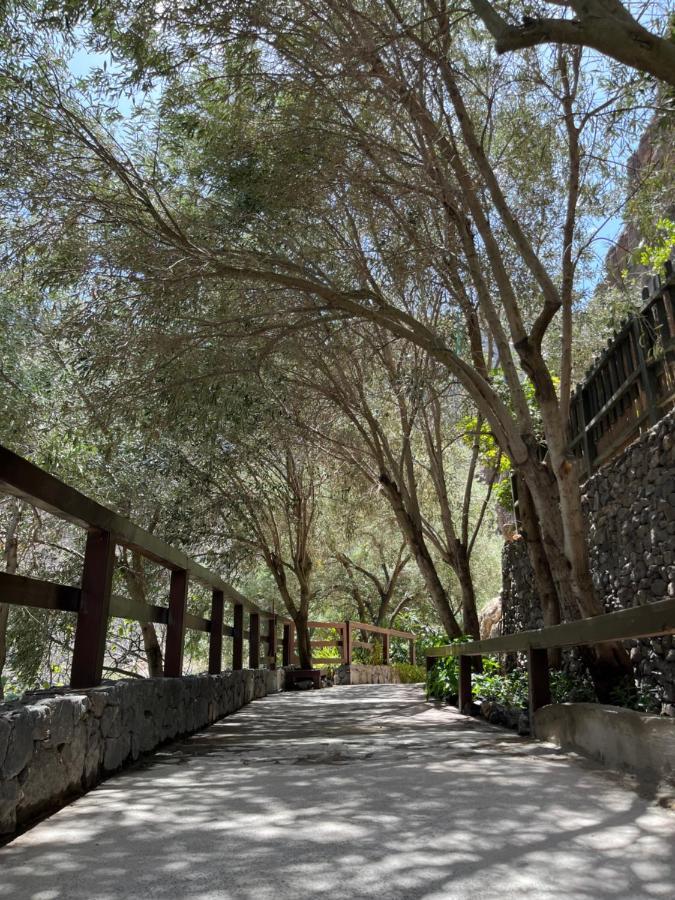 Casa Rural Guayadeque Ca'Juani Ινχένιο Εξωτερικό φωτογραφία
